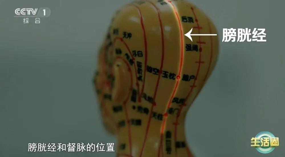 同健康问题 护发与健康小贴士快收藏pg模拟器试玩不同位置白发反映不(图7)